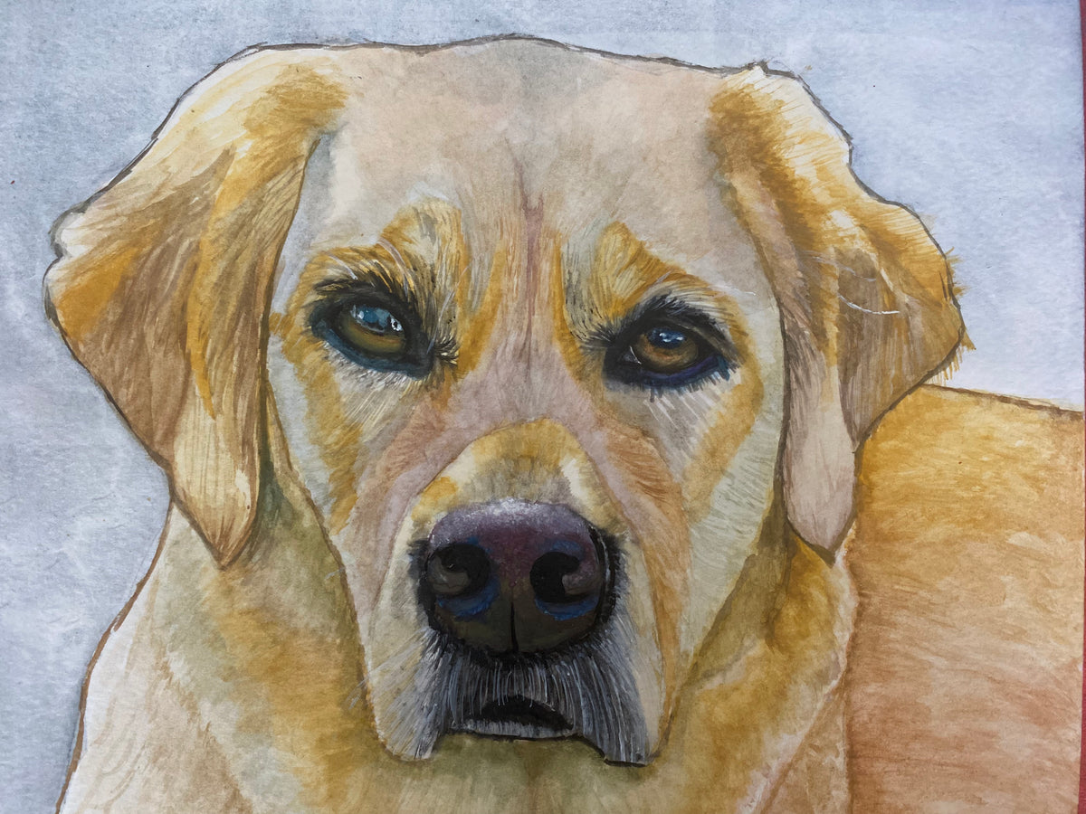 Custom Pet Portrait