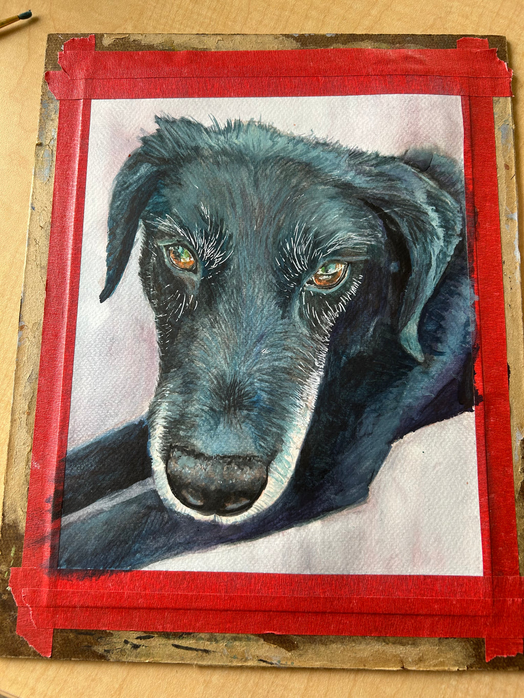 Custom Pet Portrait