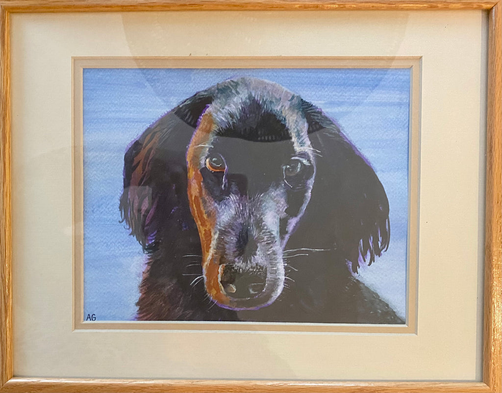 Custom Pet Portrait