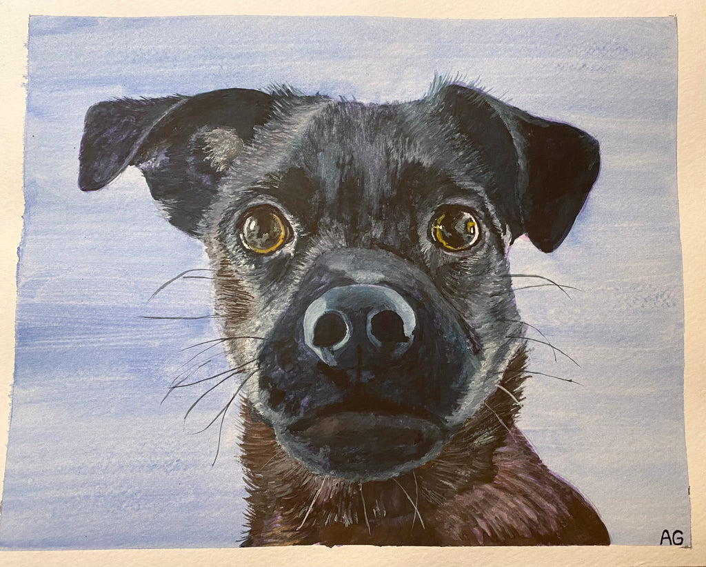 Custom Pet Portrait