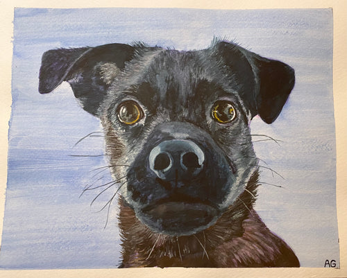 Custom Pet Portrait
