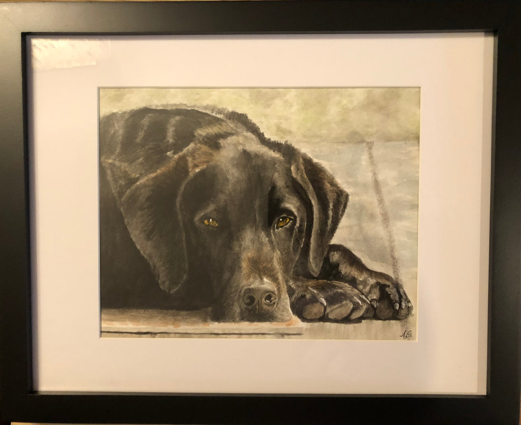 Custom Pet Portrait